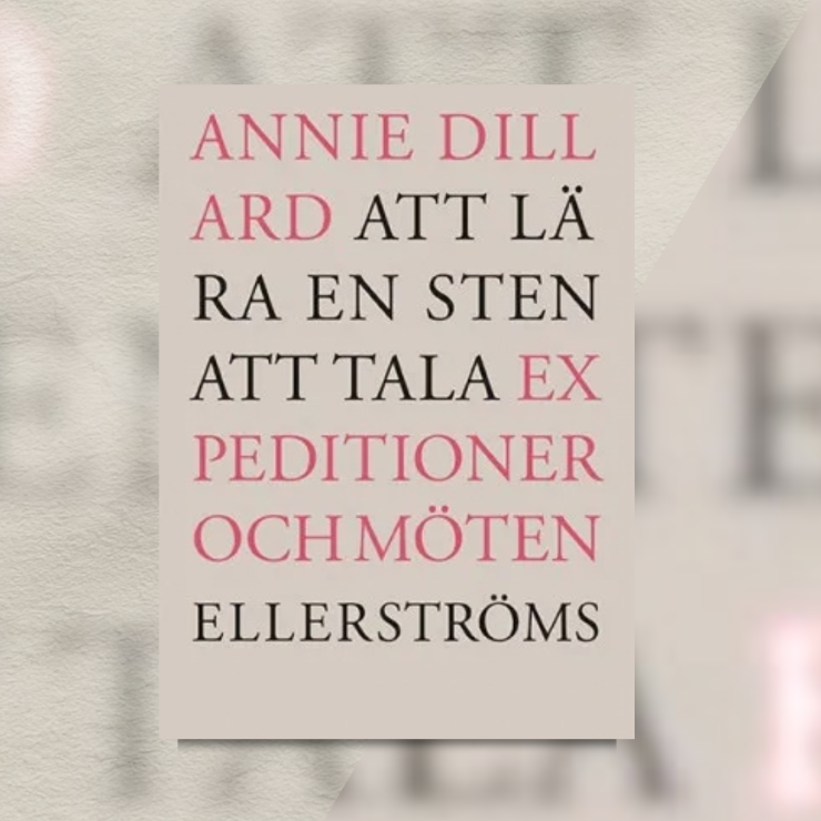 Bokens omslag.